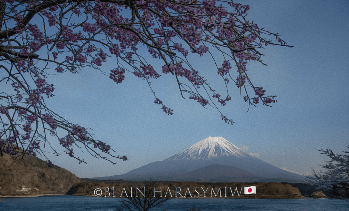 Japan Autumn Leaves Tour – Capture the Colors of Fall with JDS