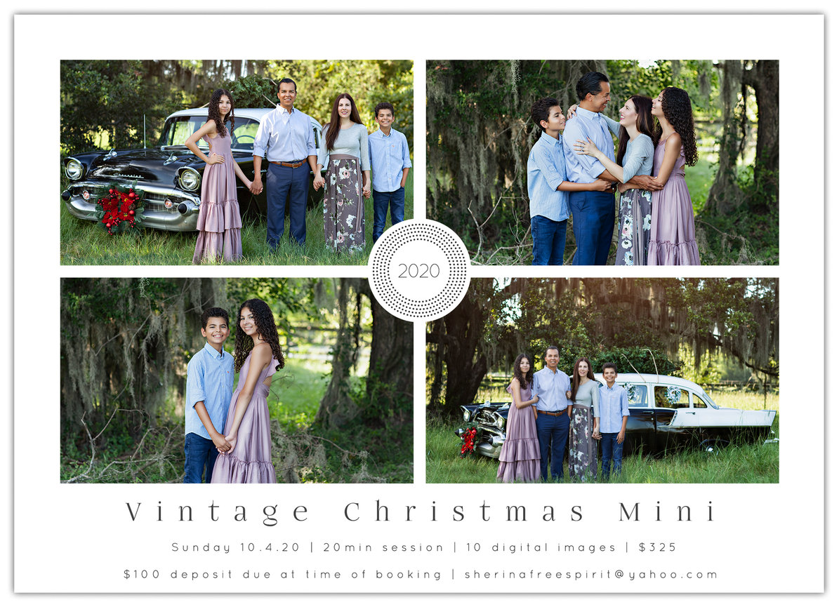 Christmas Minis 2023 Mossy Tree, Spring TX Photographer