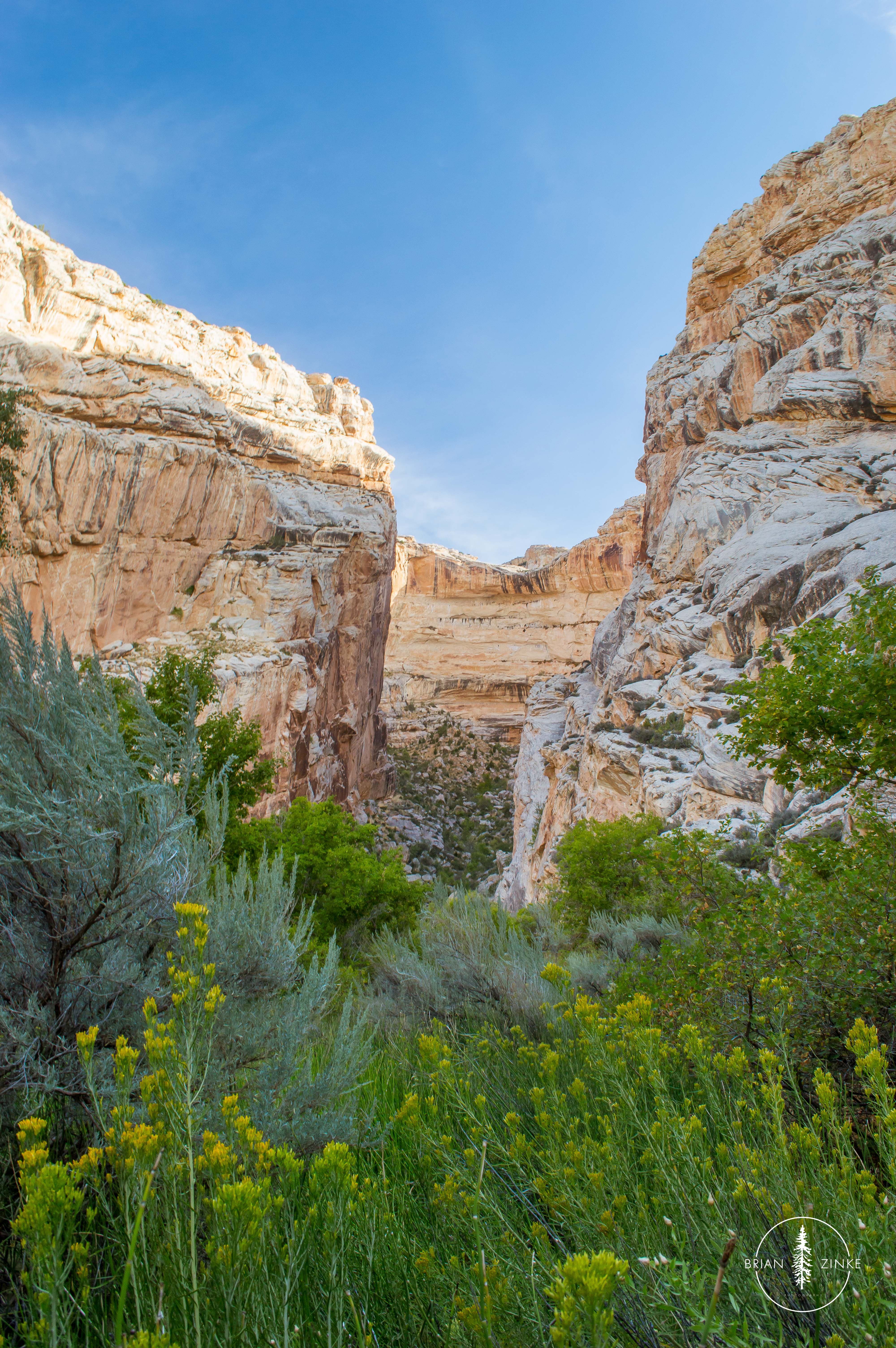 vernal to dinosaur national monument