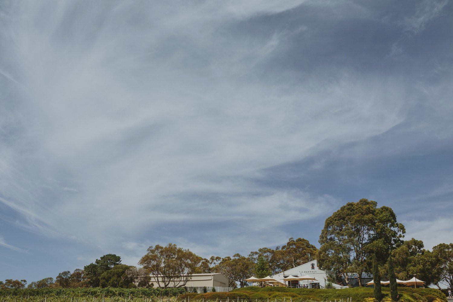 adelaide wedding photographer