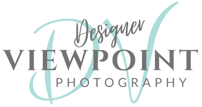 Designer Viewpoint Logo