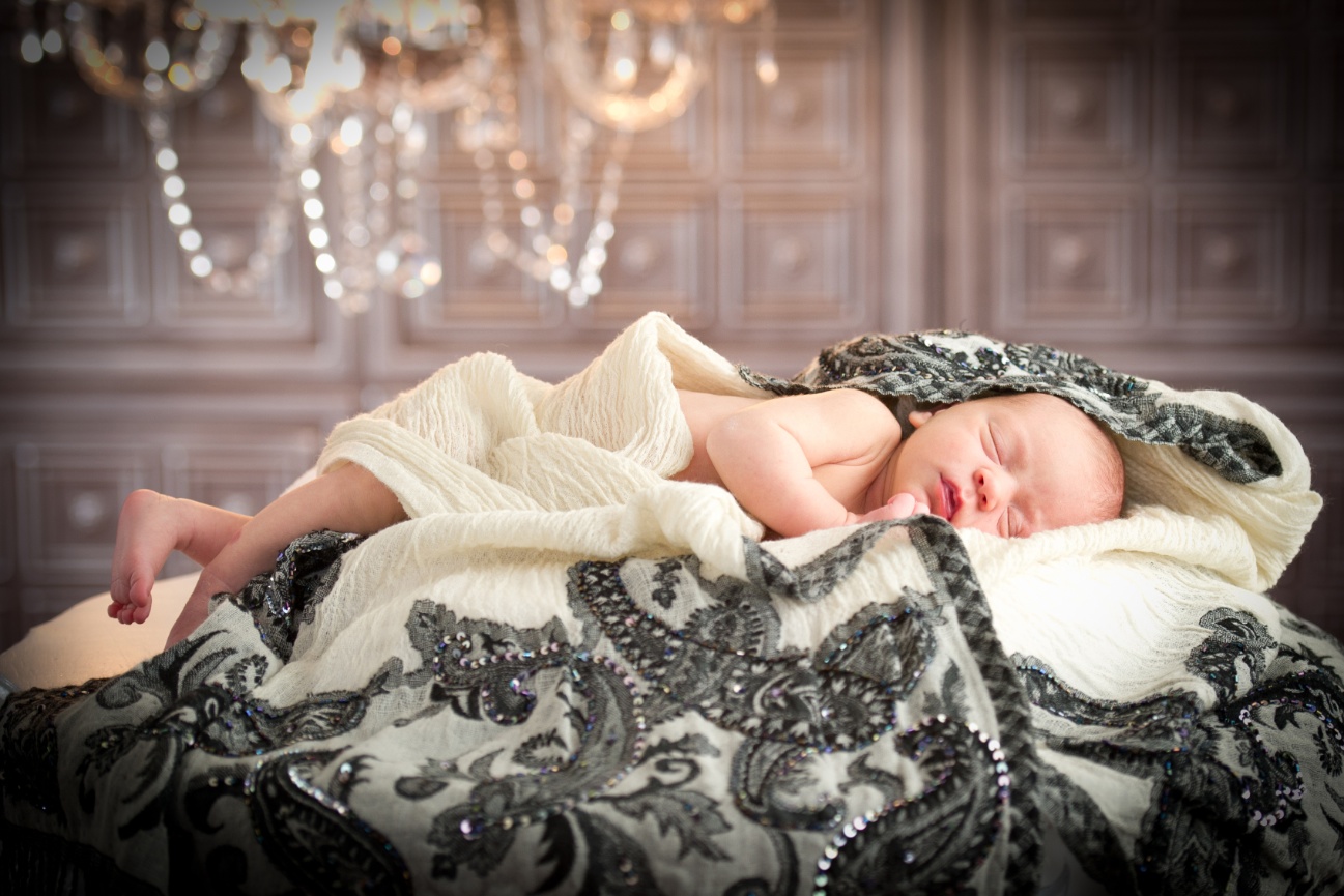 Itty Bitty Newborn Session $150.00