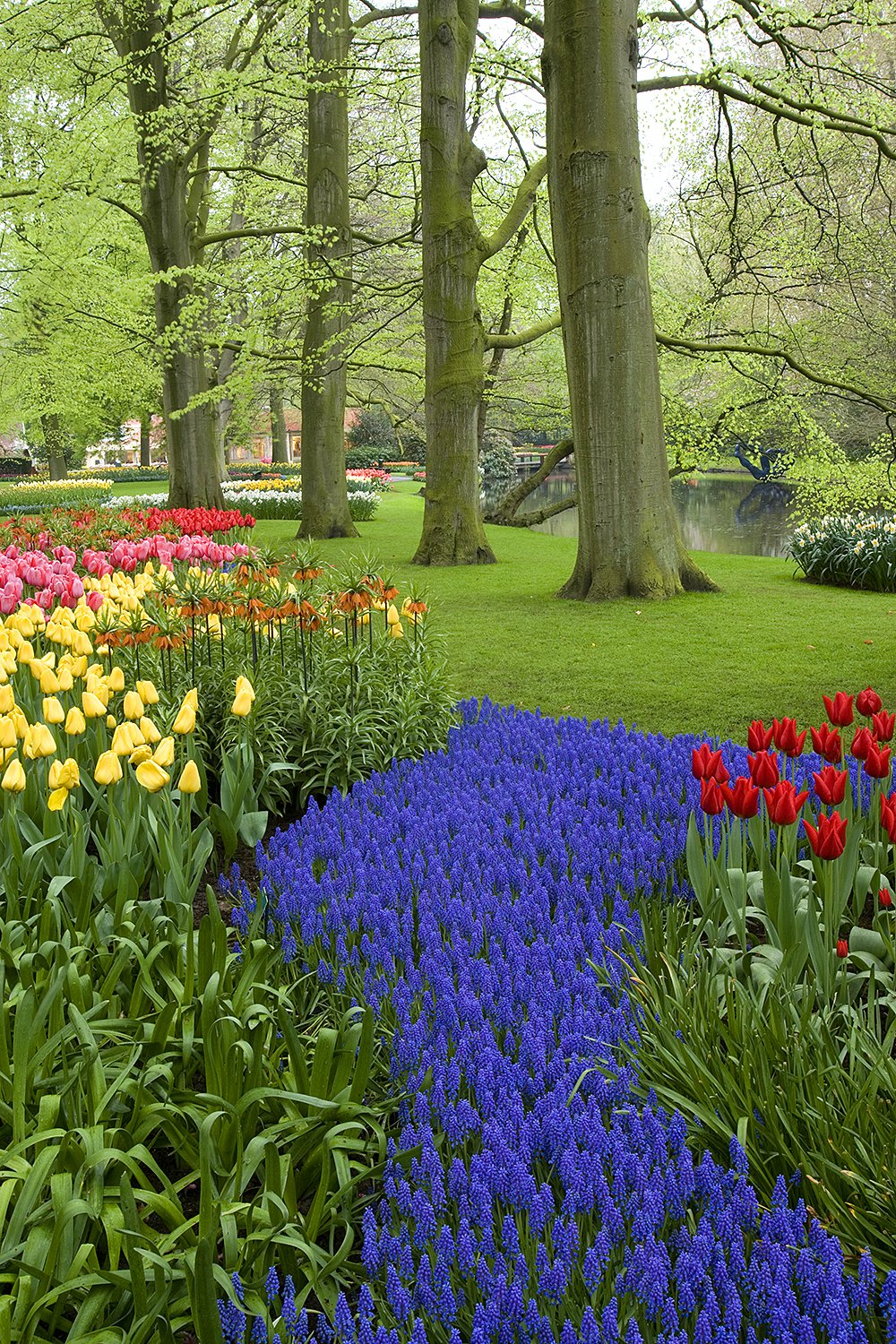 Keukenhof Gardens - Jim Zuckerman Photography & Photo Tours