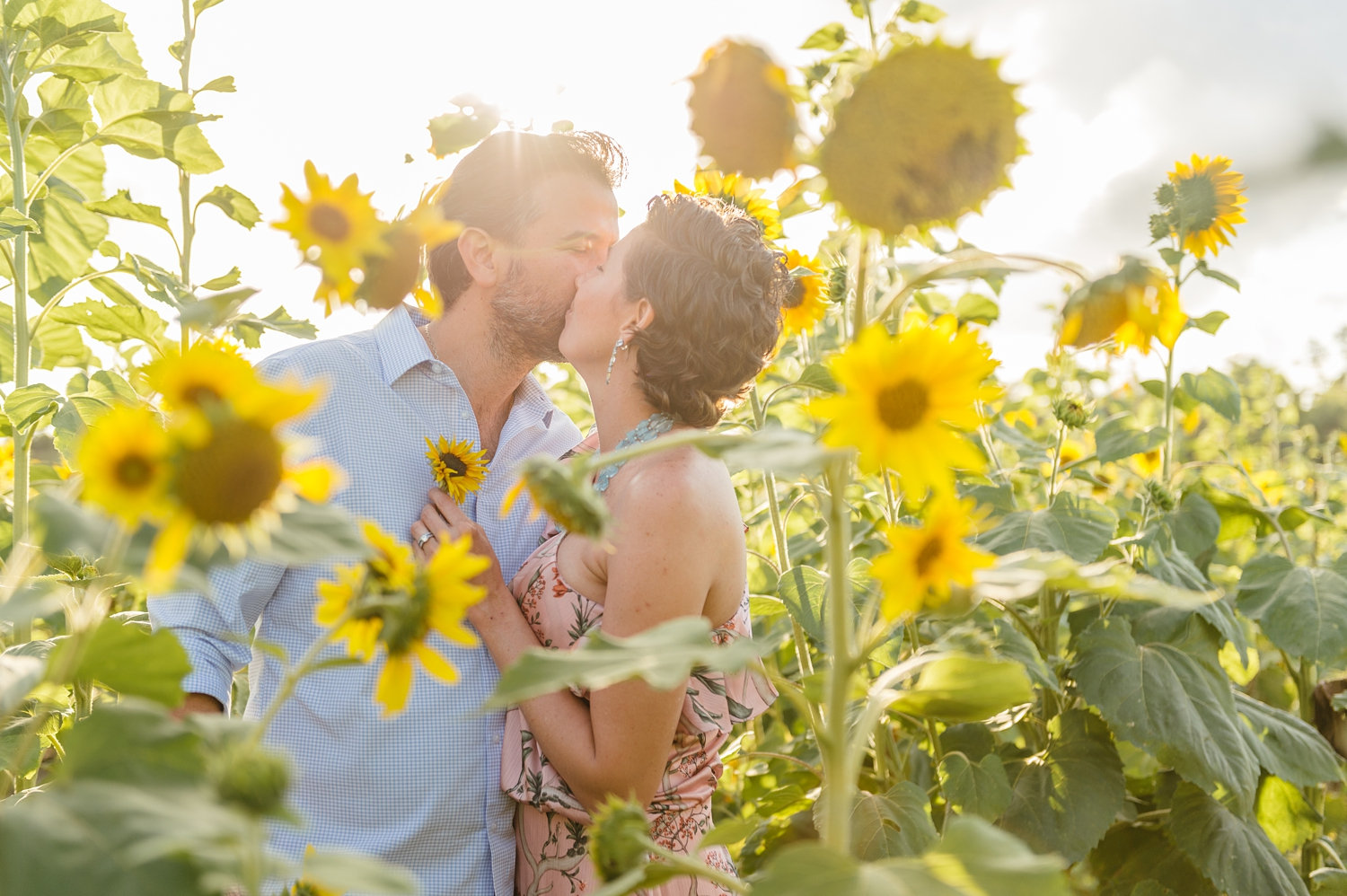 couple kissing in a sunflower field, parents kissing in a sunflower field, Rya Duncklee Photography