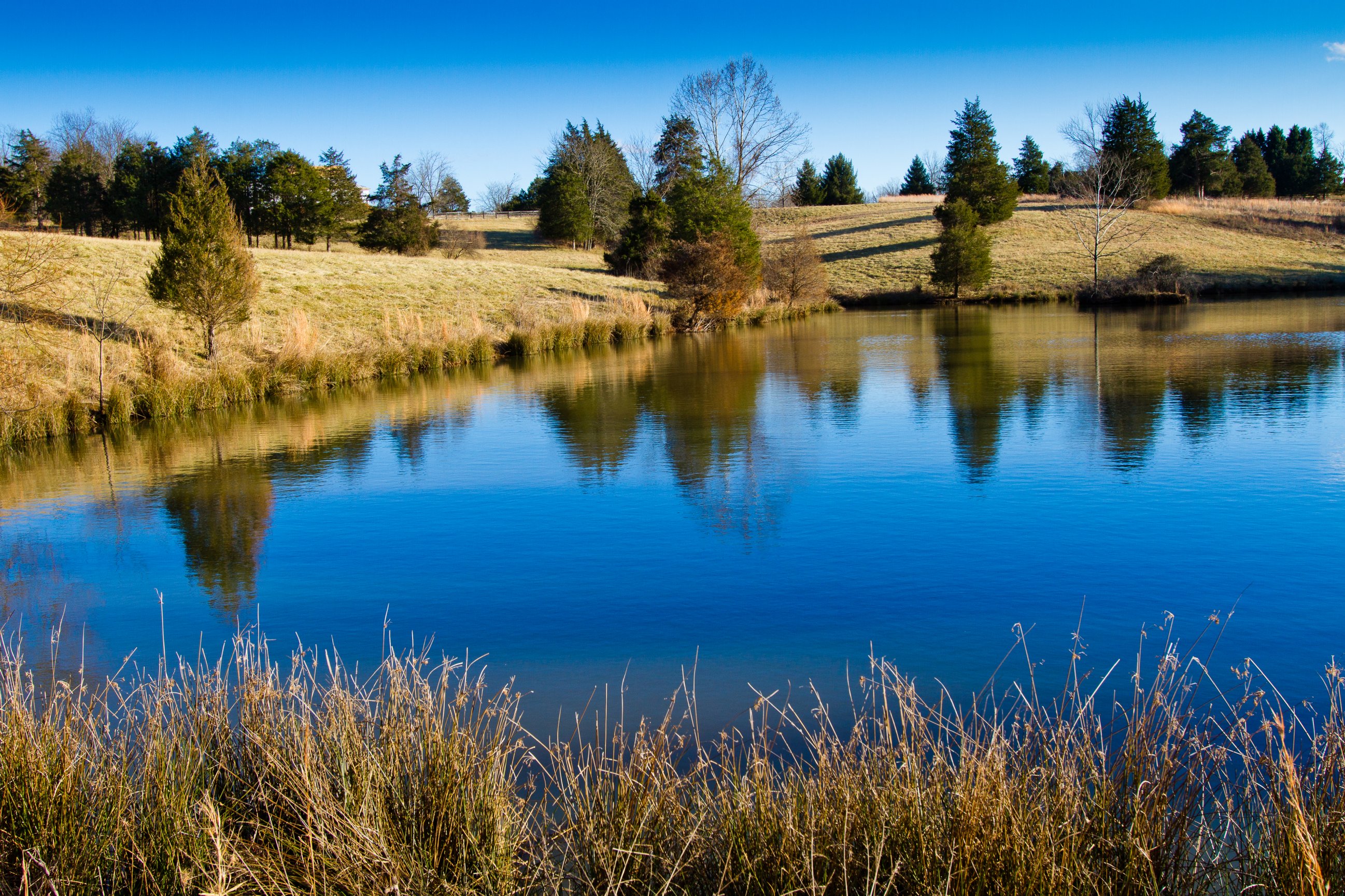 Virginia Landscape Photographer