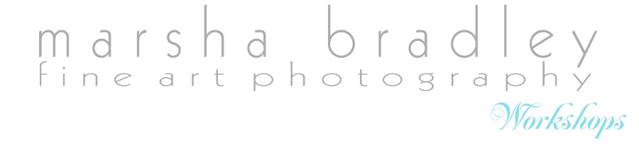 Marsha Bradley Fine Art Photography Logo