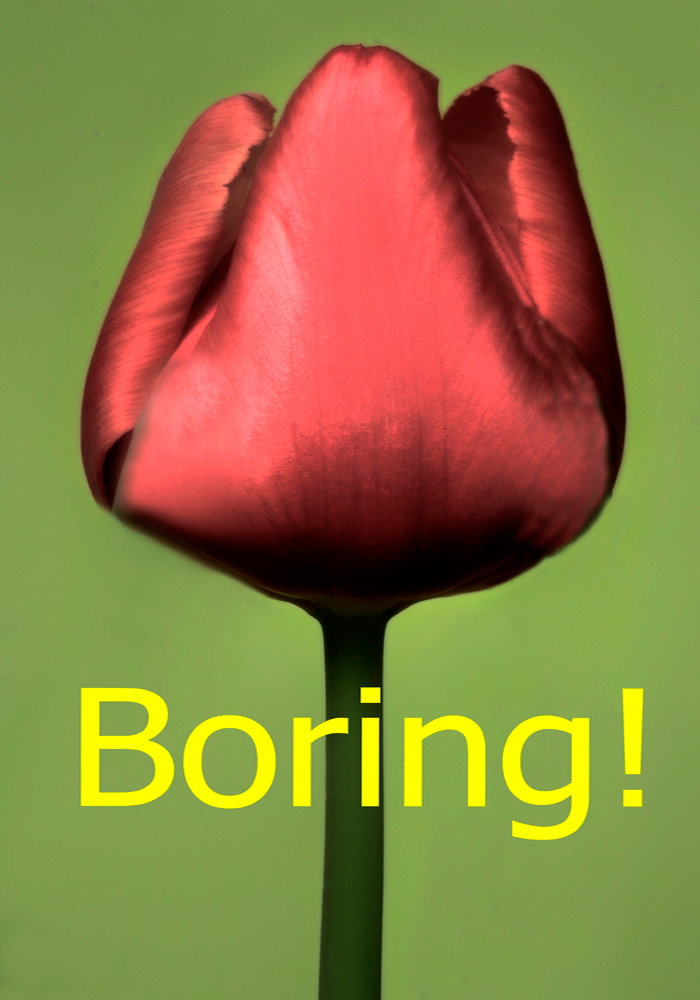 Are Your Flower Photography Compositions Boring, Lets Fix It Mike