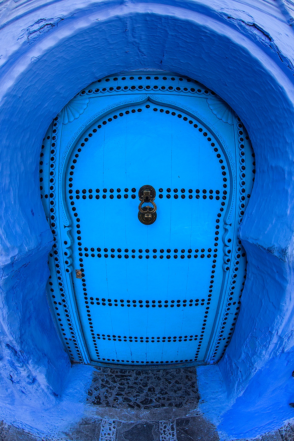 Beyond The Distortion Why Fisheye Pfps Are Trending Now - xjtc7gt