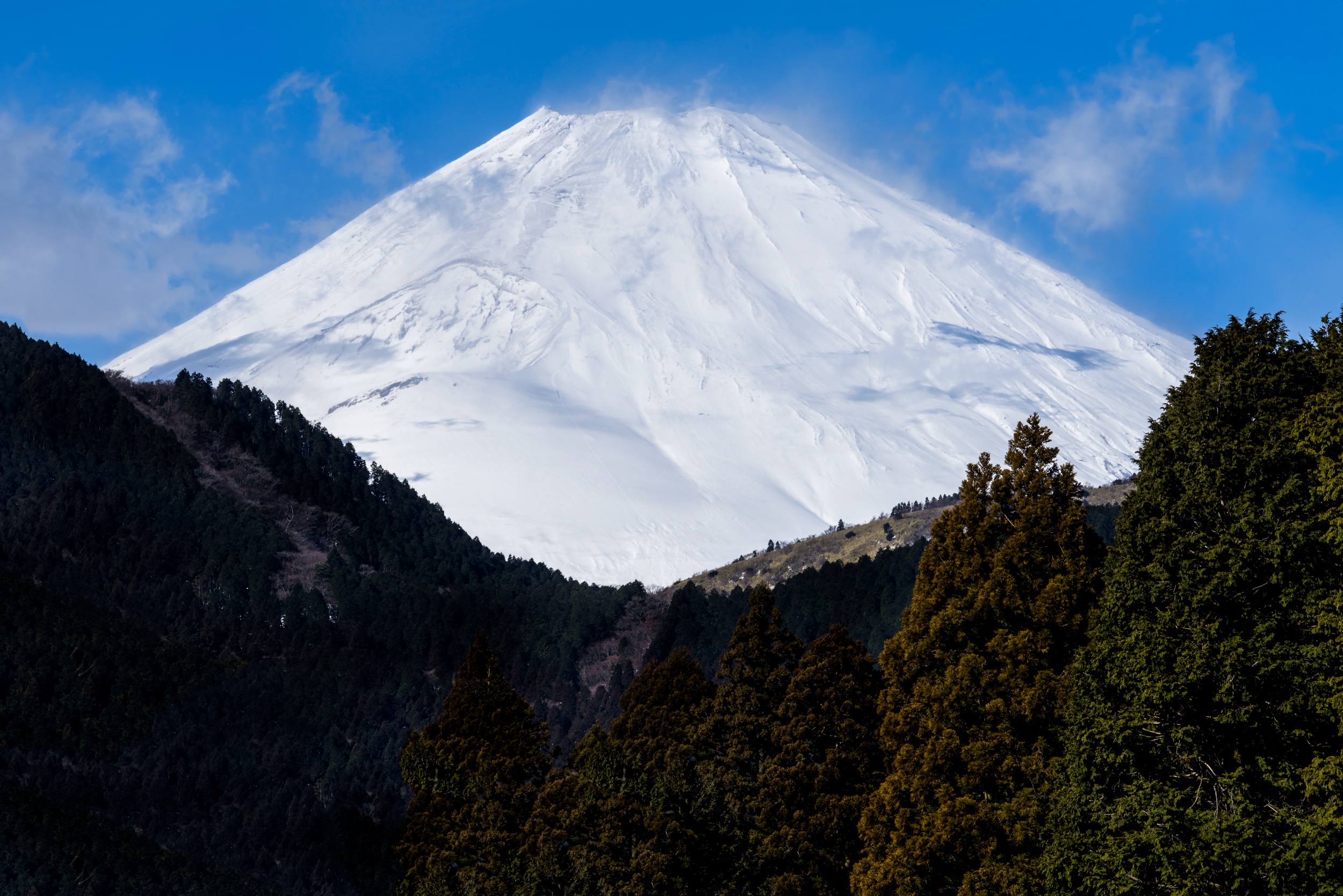 Feb 310, 2019 Mt. Fuji Snow Monkey & Landscape Blain Harasymiw
