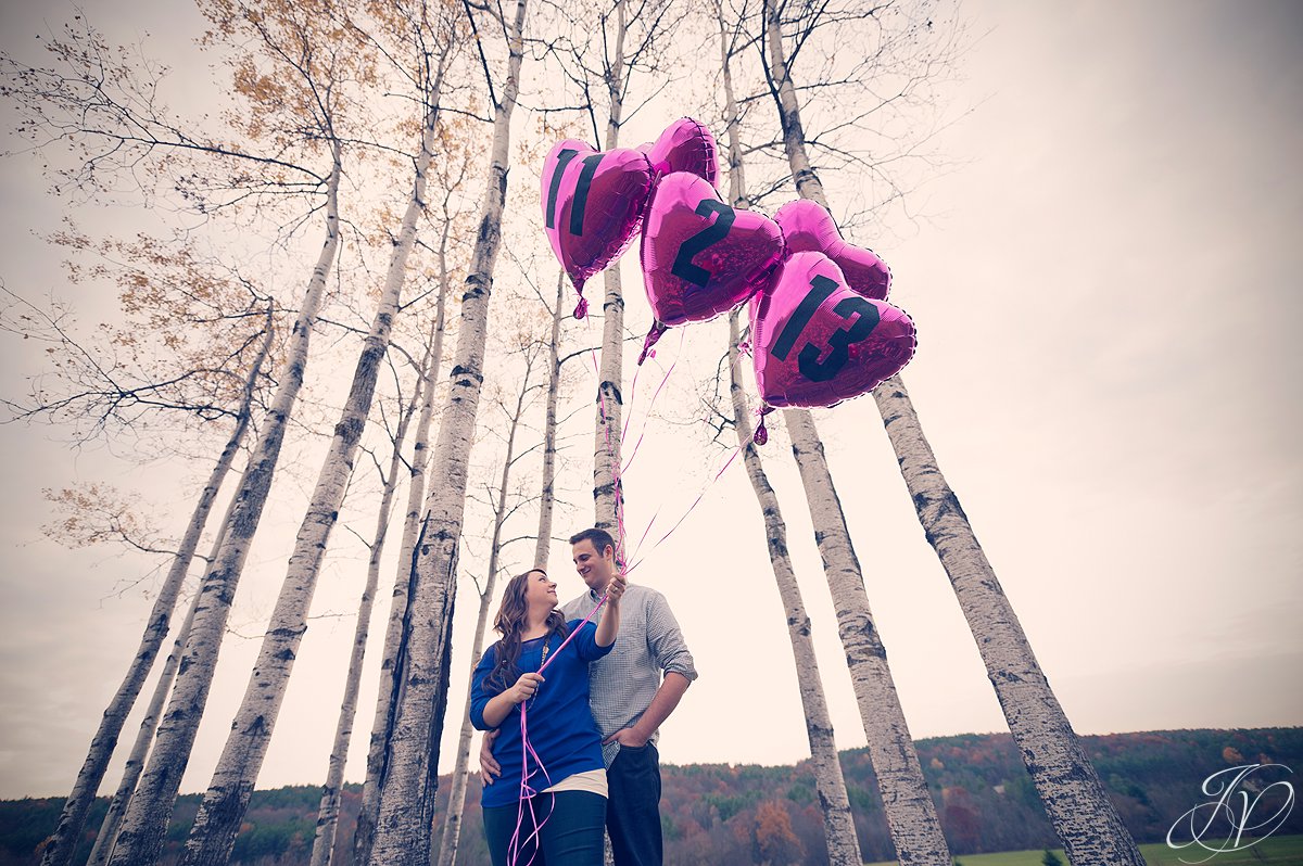 11/12/13 wedding, fall engagement shoot, Albany Engagement Photographers, Historic Barns of Nipmoose, on location engagement session, outdoor engagement shoot