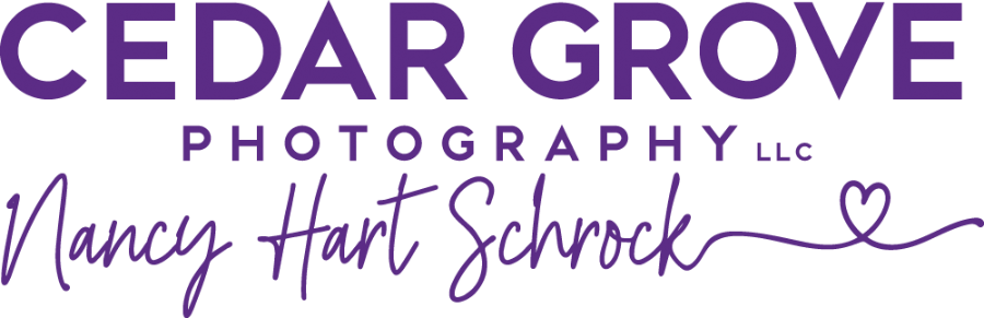 Nancy Hart Schrock/Cedar Grove Photography Logo