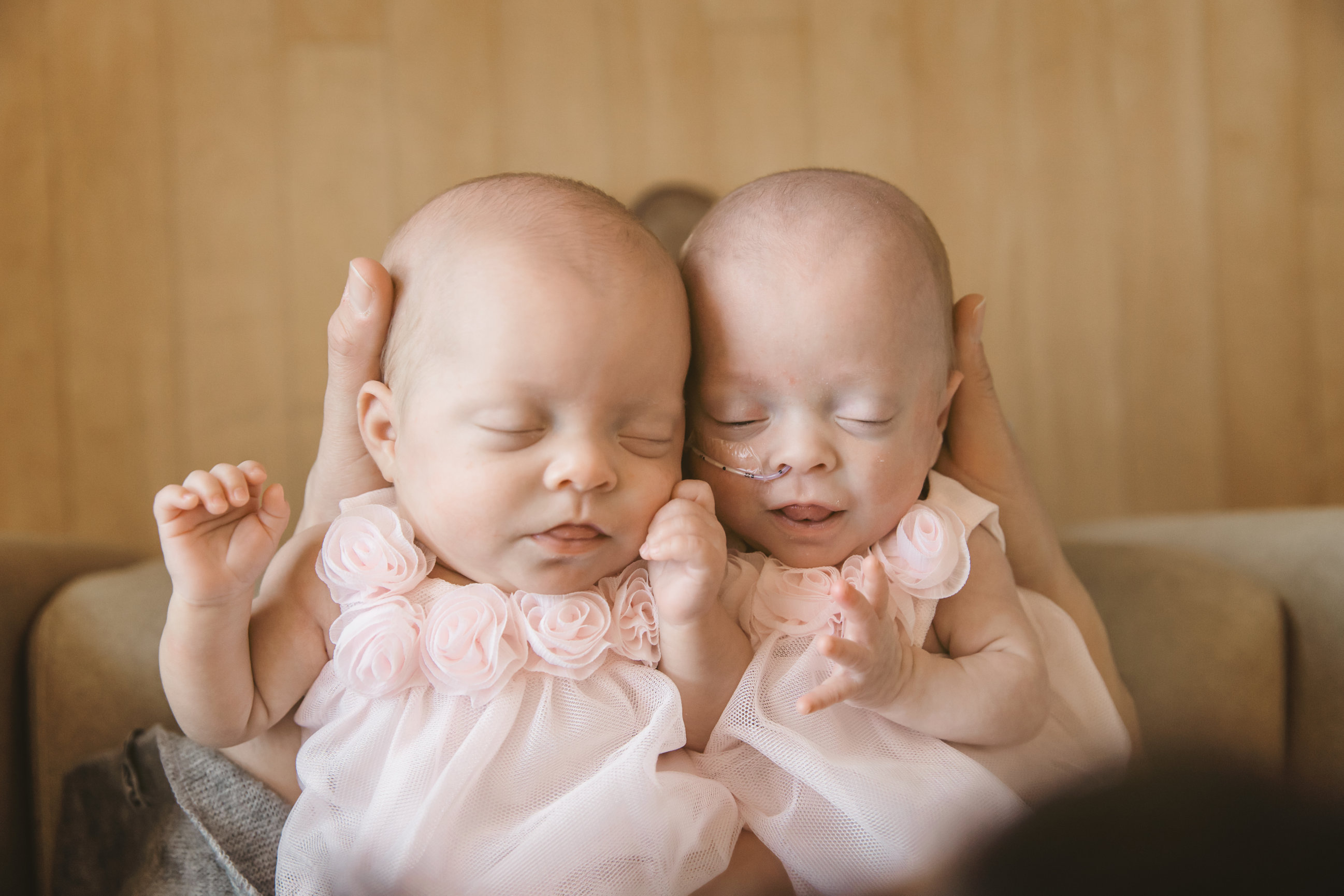 NICU Photographer in Minneapolis Two Tutu Cute Nicu Babies