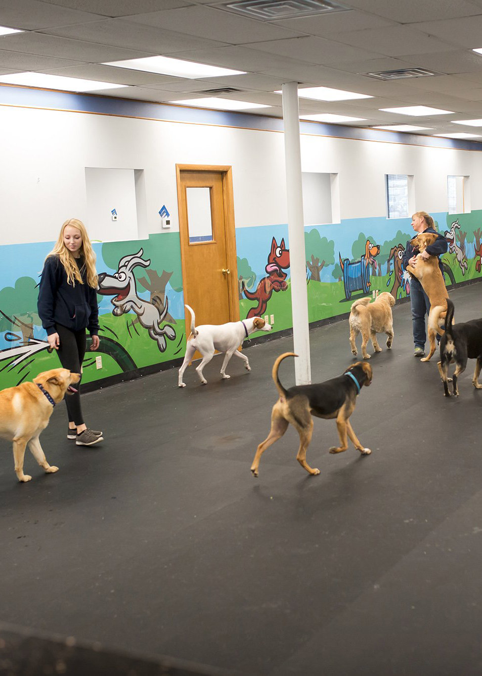 MILWAUKEE Playtime Doggy Daycare