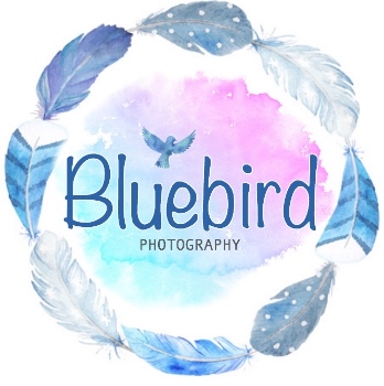 Bluebird Photography by Laura Logo