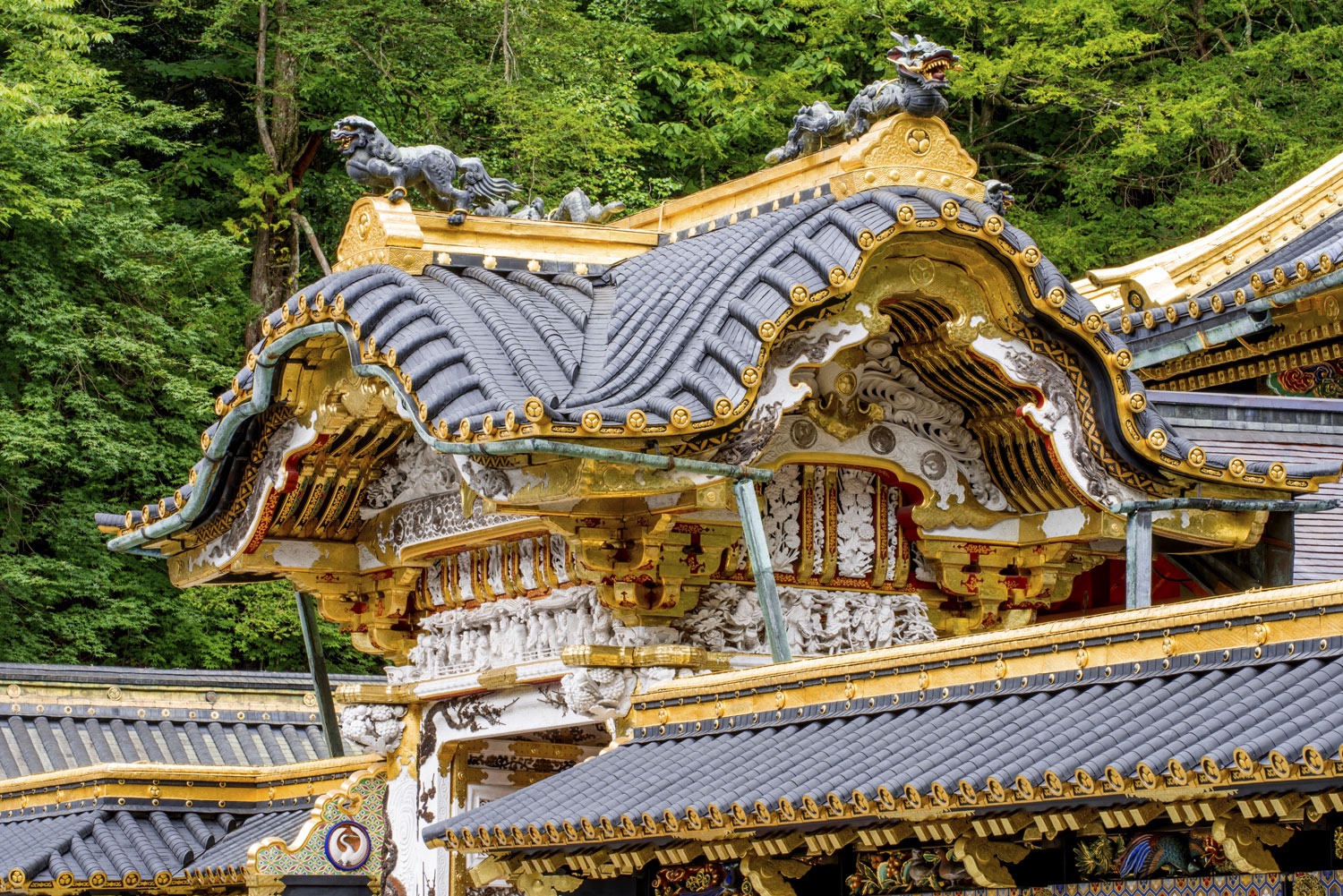 Nikko Tosho Gu Shrine 日光東照宮 Blain Harasymiw Photography