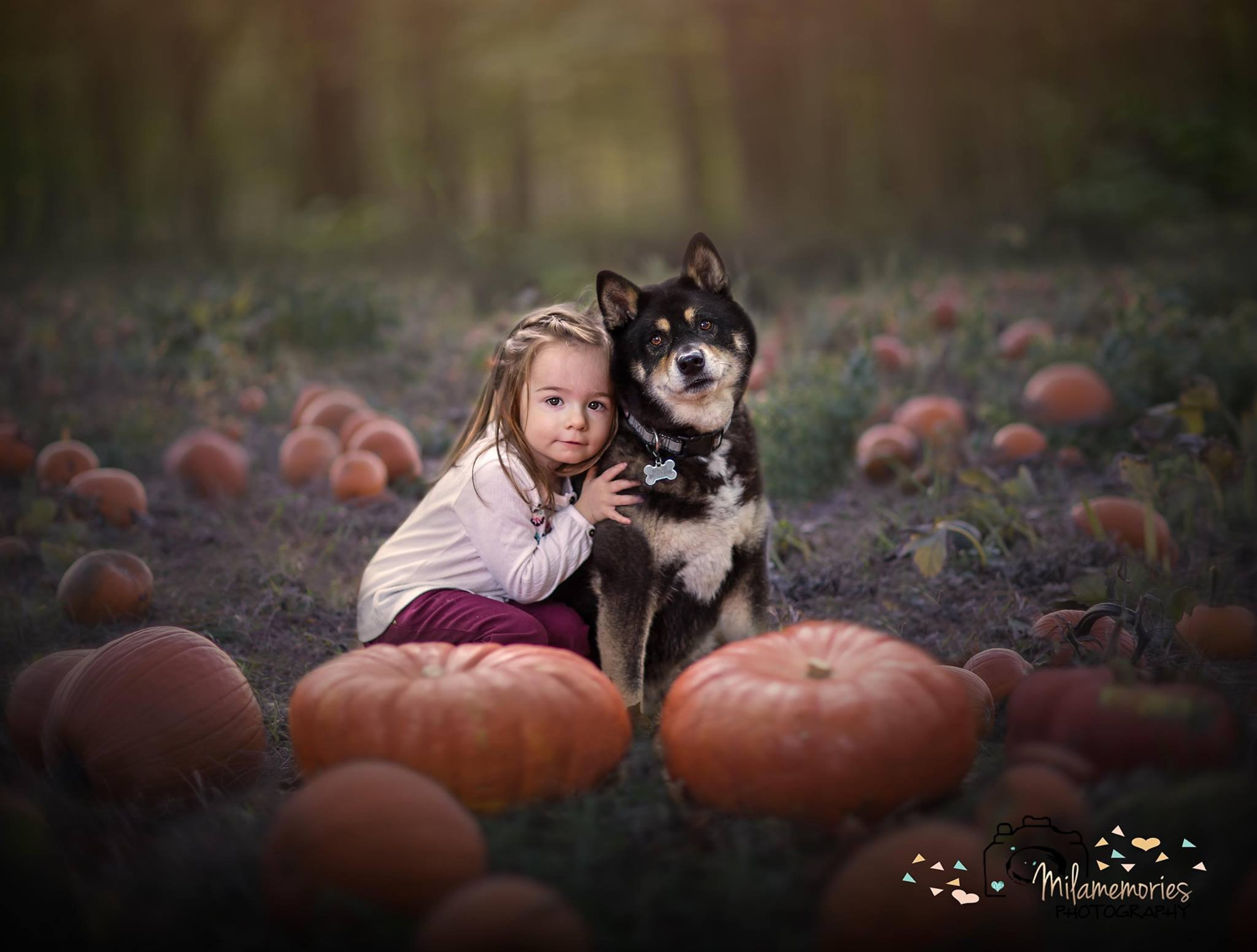 Children's Portraits | Milamemories Photography | Mundelein, IL