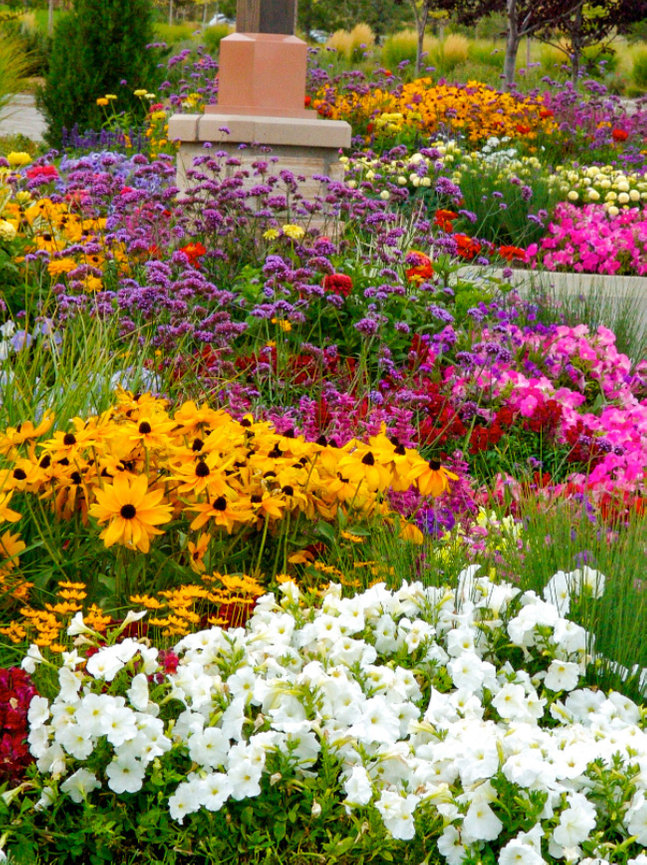 FLORAL PROGRAMS Sustainable Landscapes Colorado