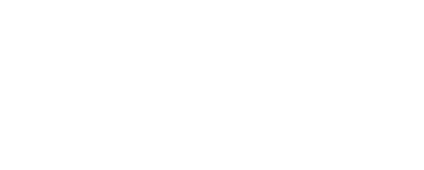 Visions Portrait Studio Logo