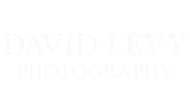 David Levy Photography Logo