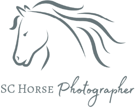 HEATHER JOHNSON PHOTO Logo