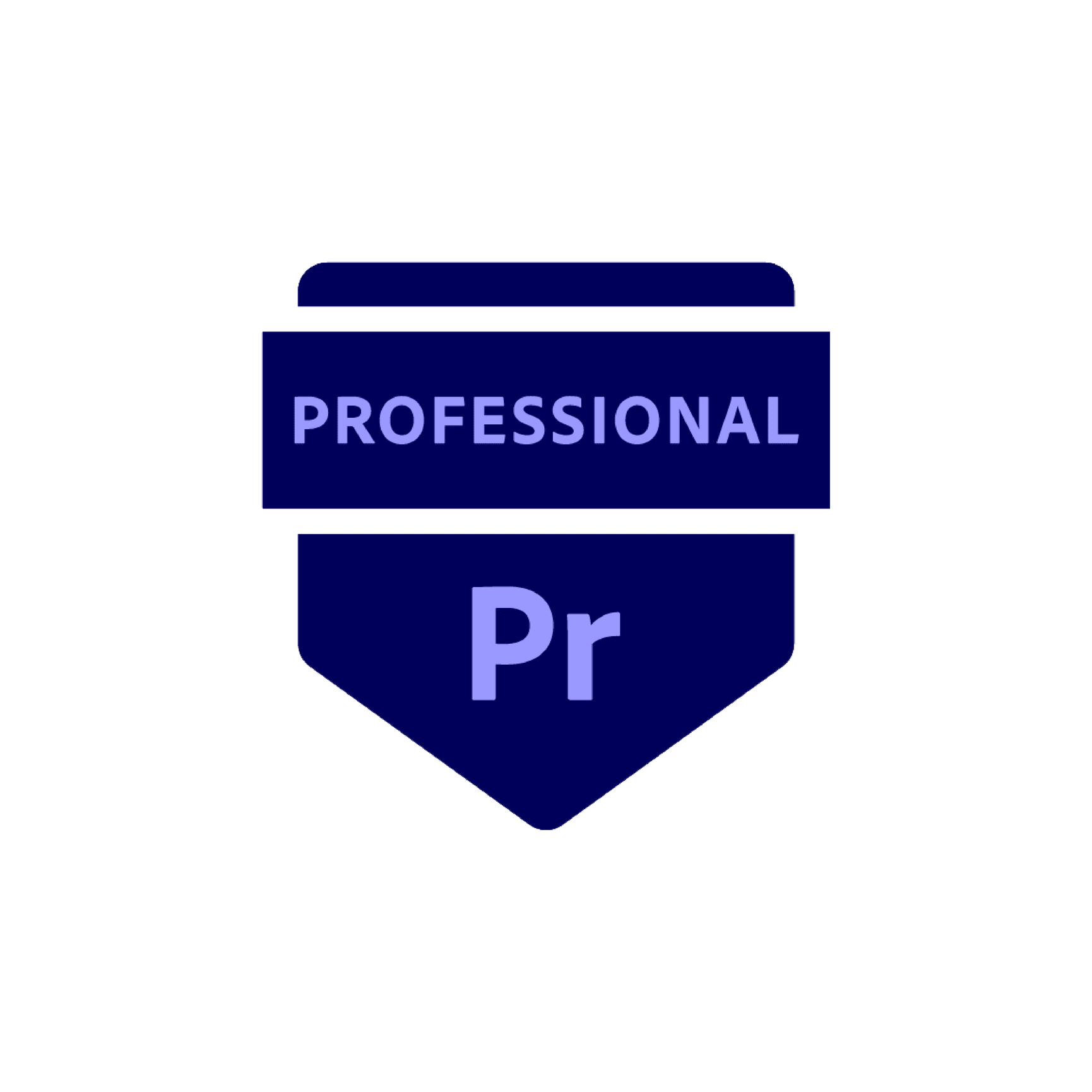 Adobe Certified Professional in Digital Video Using Adobe Premiere Pro