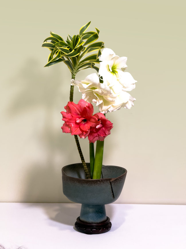 About Carol Brecker | Brecker Arts | Phoenix, Az