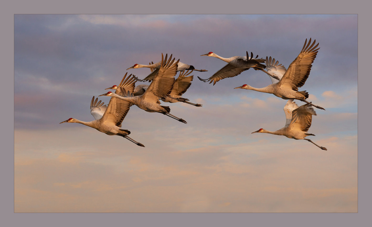 © Lisa Asp