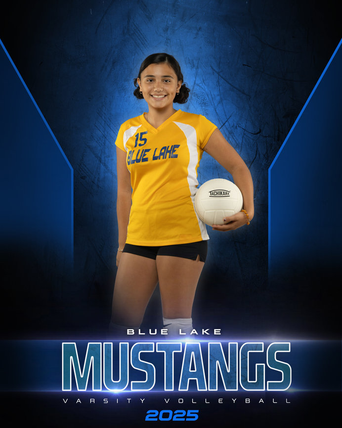 Volleyball Photography