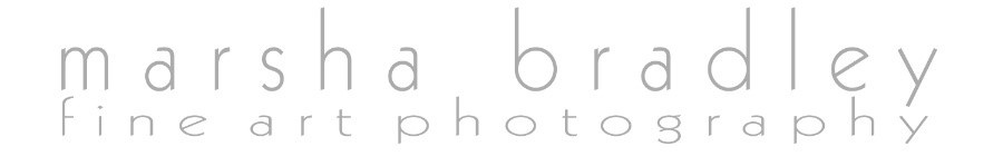 Marsha Bradley Fine Art Photography Logo