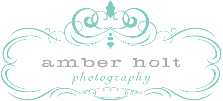 Amber Holt Photography Logo