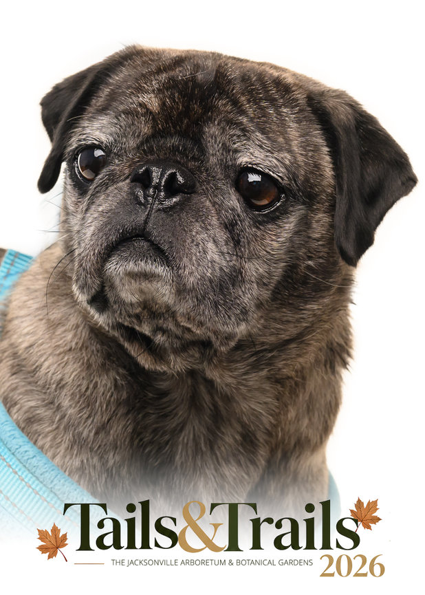 Tails and Trails 2026 dog portrait
