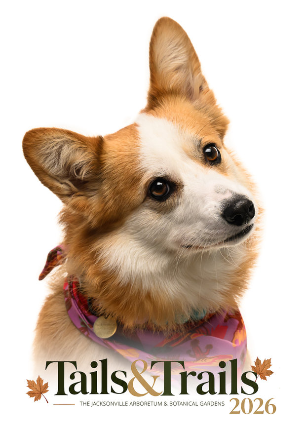 Tails and Trails 2026 dog portrait