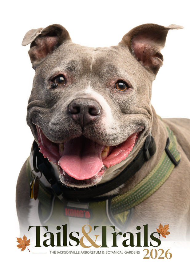 Tails and Trails 2026 dog portrait