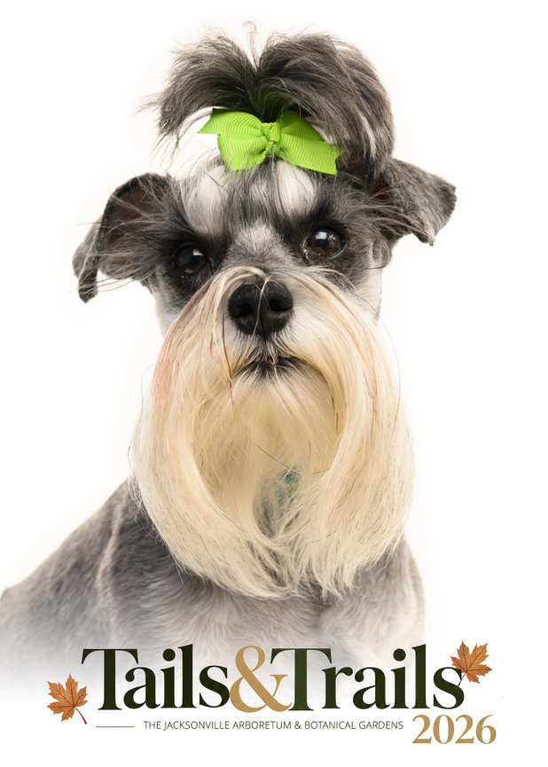 Tails and Trails 2026 dog portrait