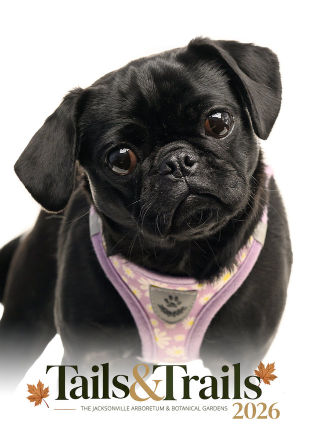 Tails and Trails 2026 dog portrait