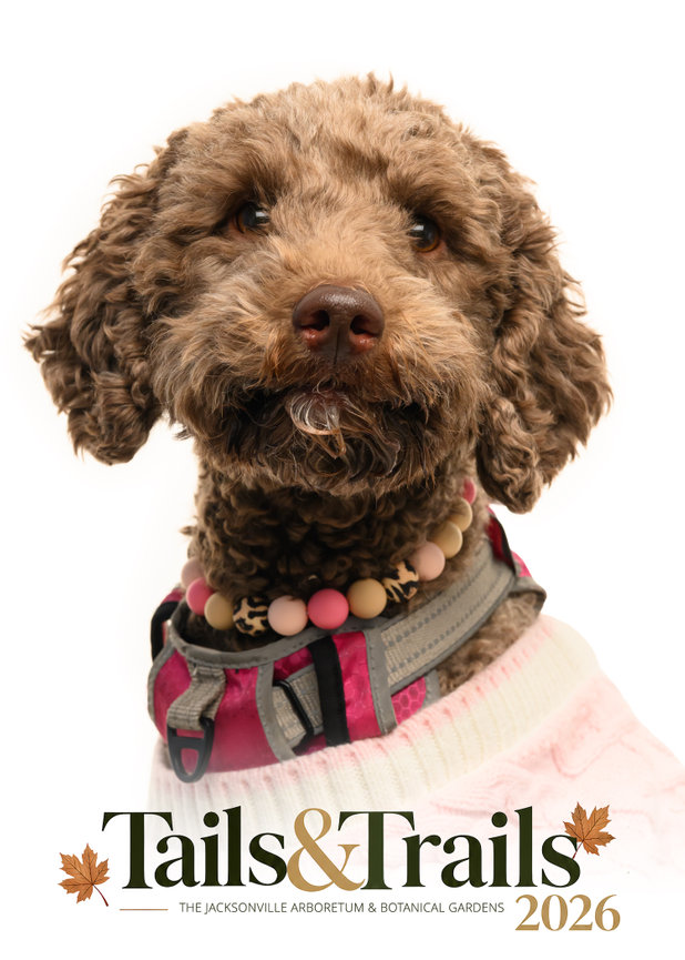 Tails and Trails 2026 dog portrait