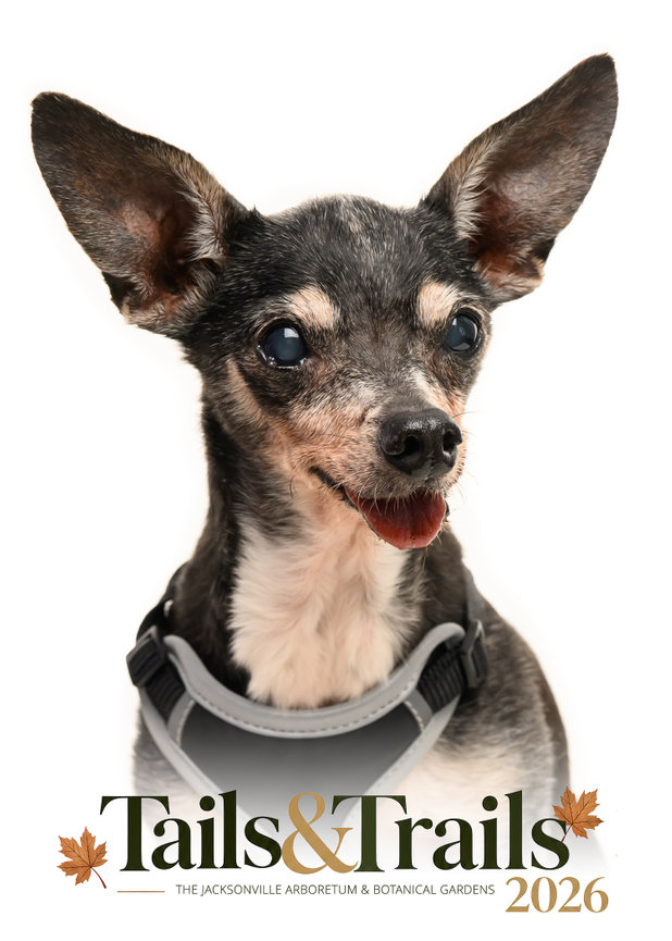 Tails and Trails 2026 dog portrait
