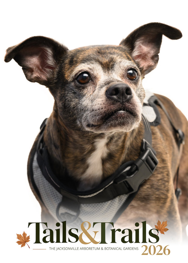 Tails and Trails 2026 dog portrait