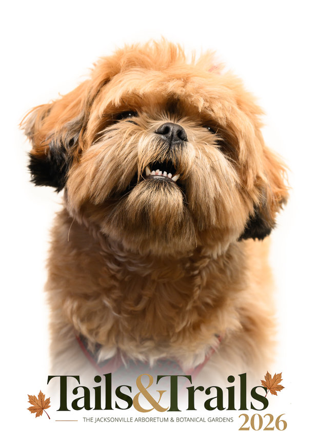 Tails and Trails 2026 dog portrait