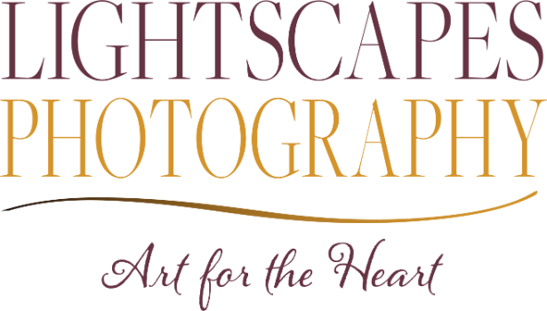 Lightscapes Photographic Artwork Logo
