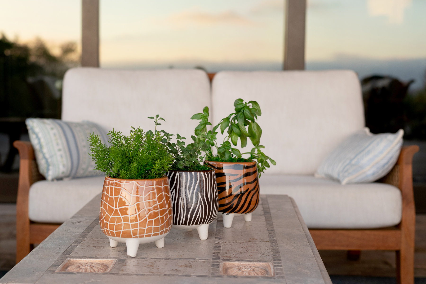 Three safari-themed ceramic pots with herbs planted, sitting on outdoor coffee table