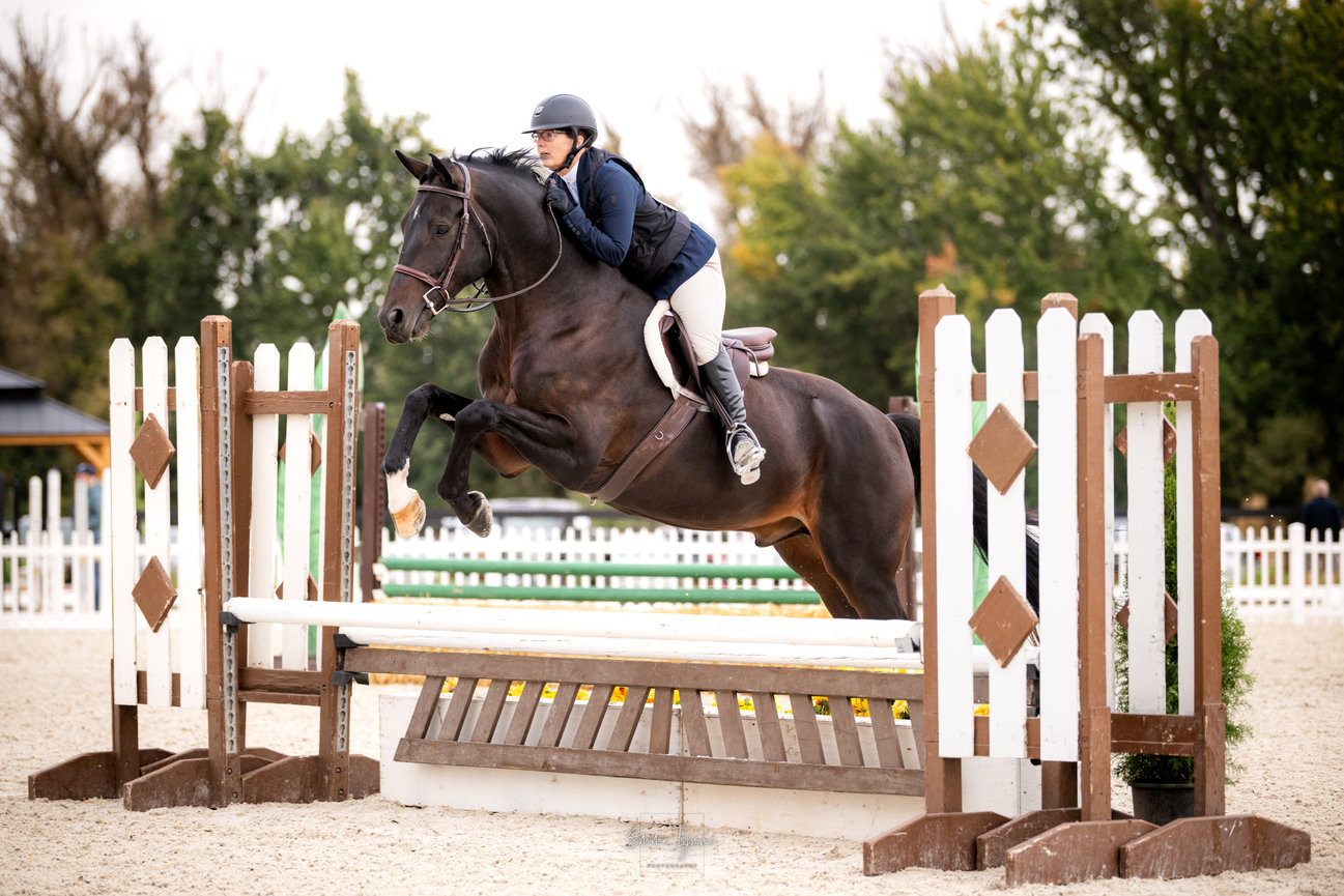 Horse and rider jumping a white vertical fence in an outdoor arena.