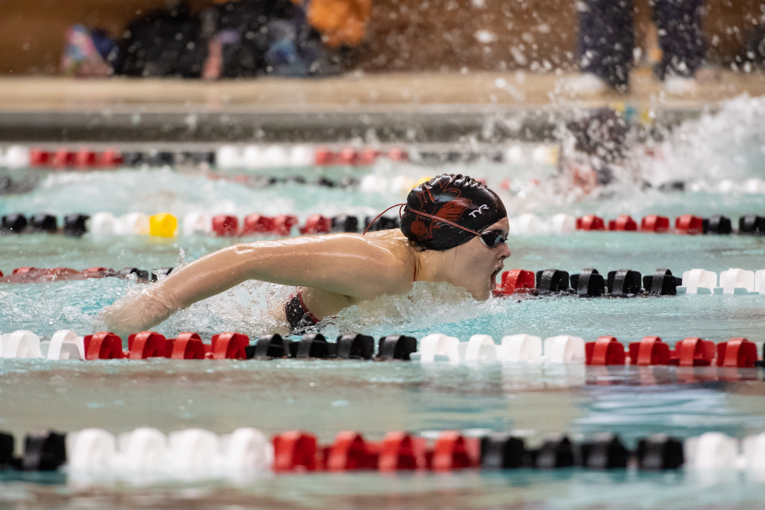 Swimming & Diving - Albright Studio Photography