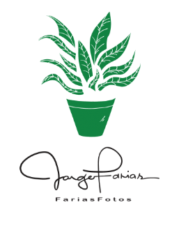 Farias Fotos Logo
