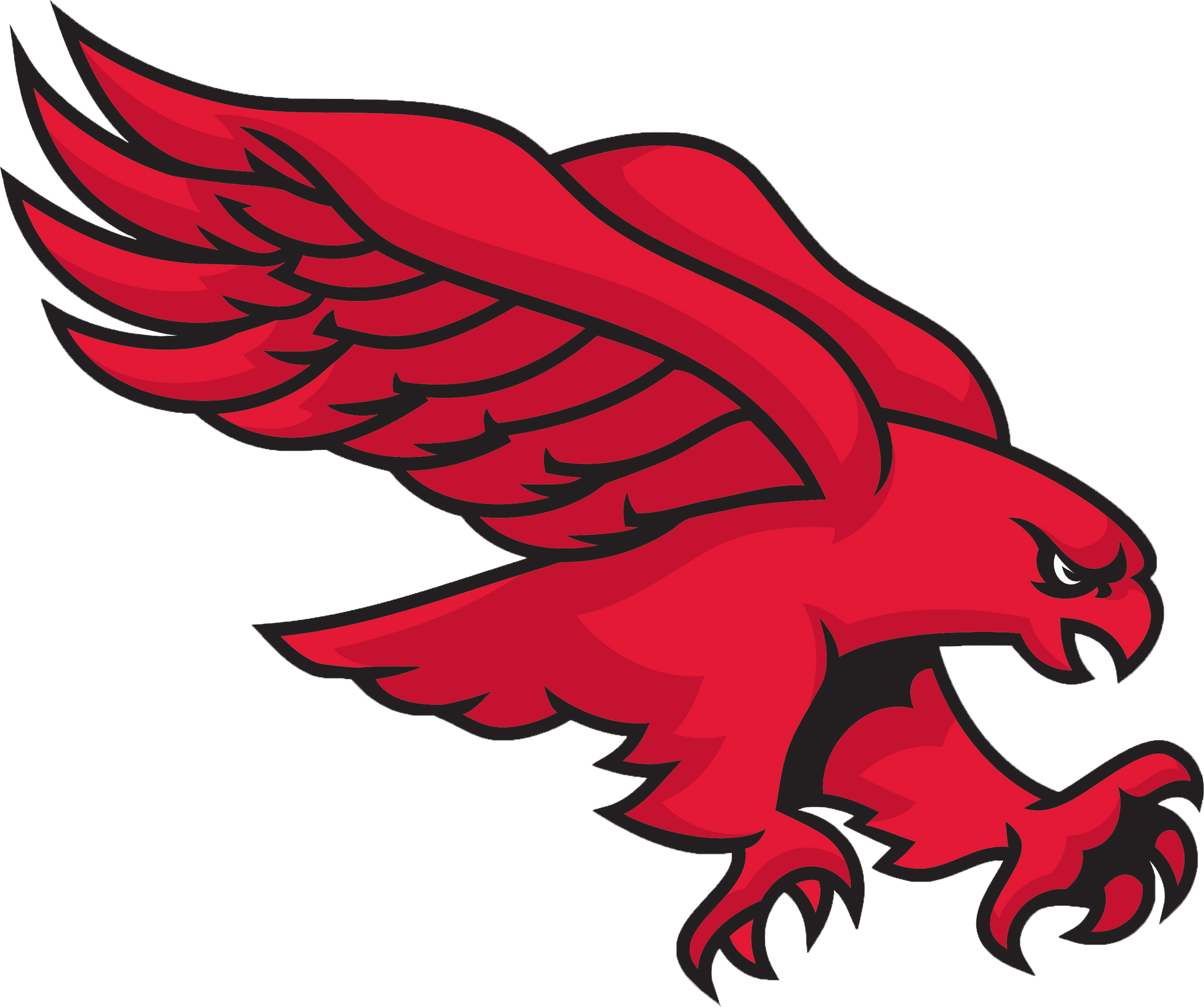 sports-selector-pss-imaging