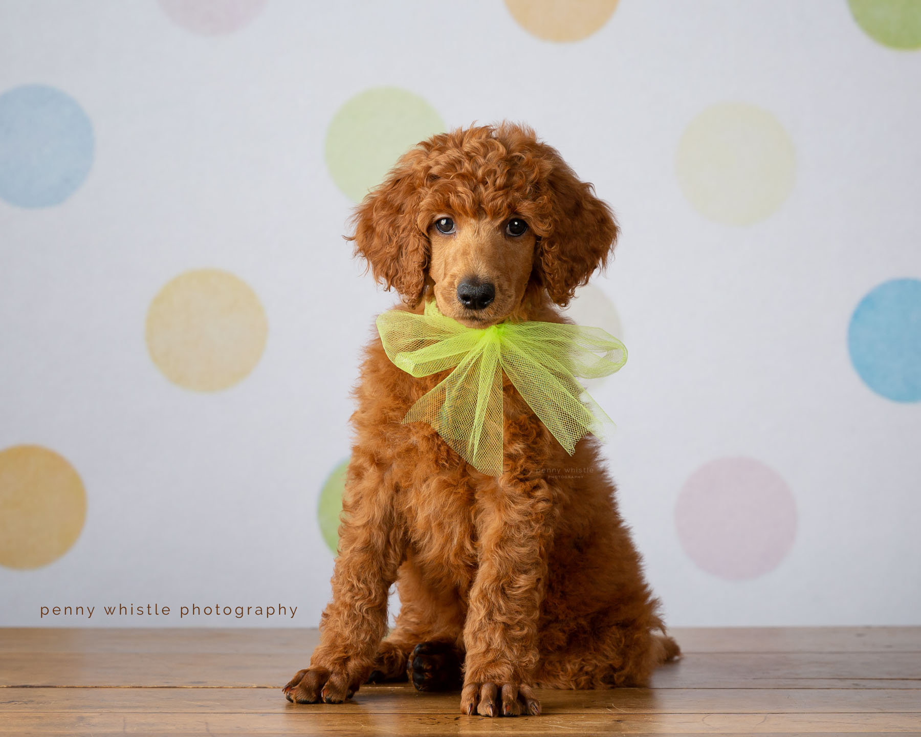 Antenna Glomex GLORA106SLSPB Glomex RA106 Kopen? Voor 22:00u, Morgen In Huis Antenna Vhf Nautica