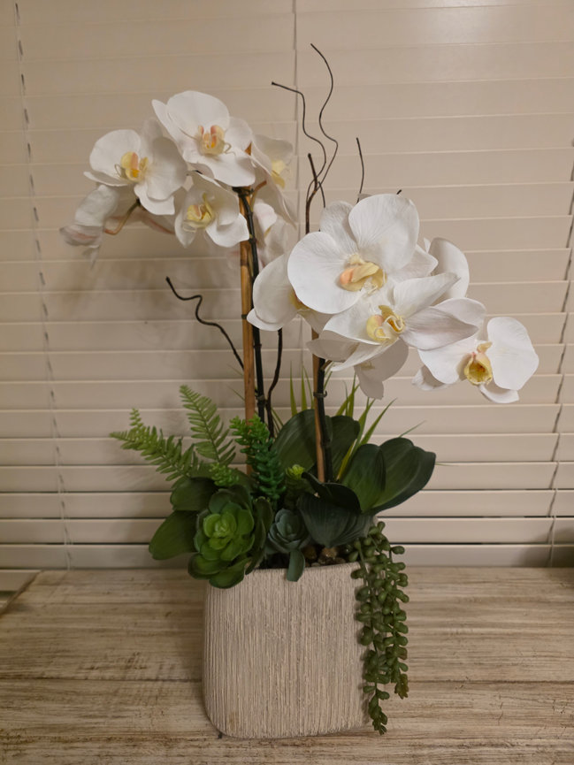 White orchid arrangement in a planter