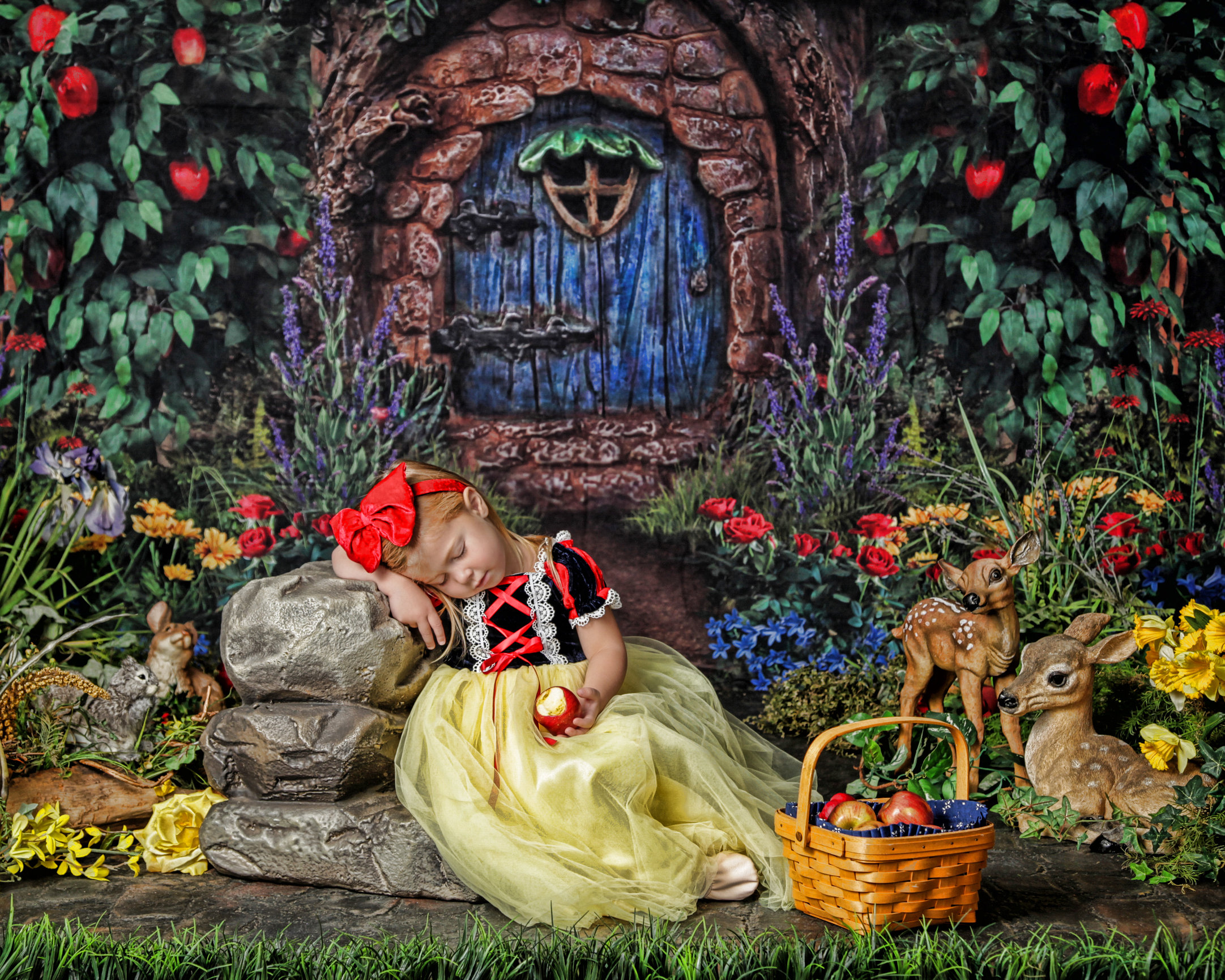 Princess Experience Heart's Desire Photography