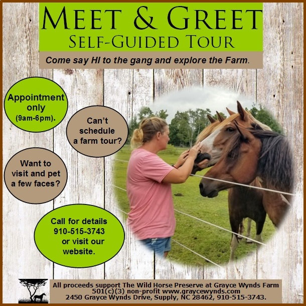 The Wild Horse Preserve at Grayce Wynds Holden Beach, NC