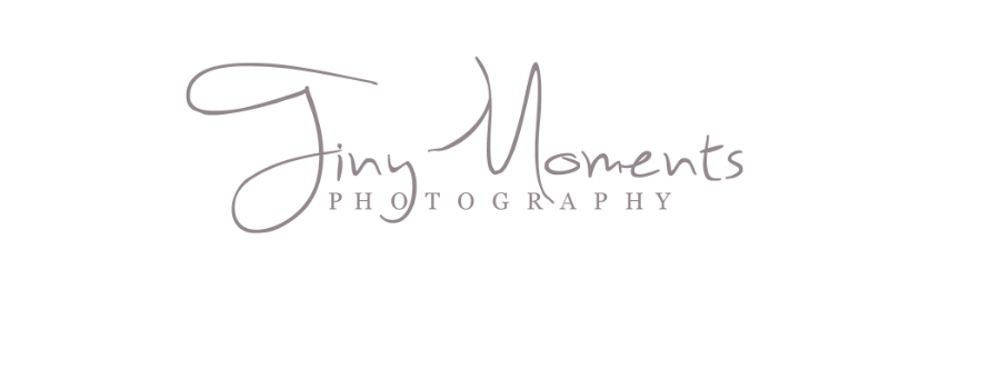 Tiny Moments Photography Logo